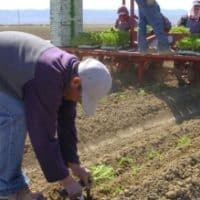 productores de Almería