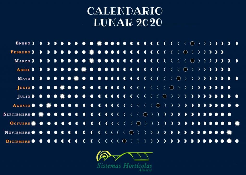 Calendario Lunar para la siembra de frutas y hortalizas - Sistemas  Hortícolas Almería
