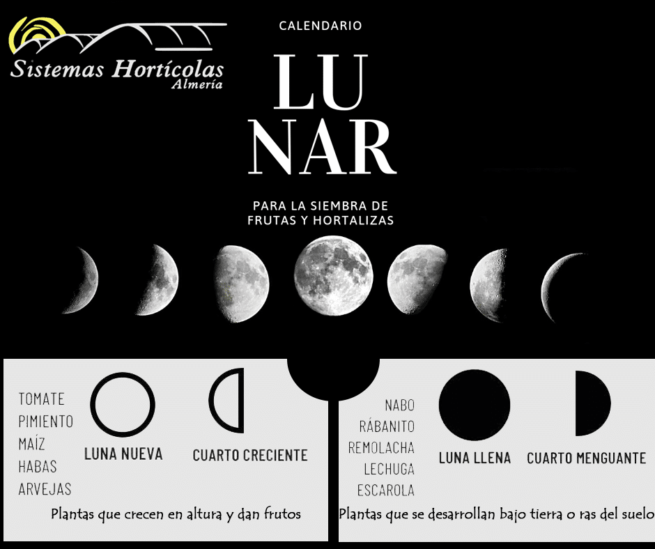 Calendario Lunar Para Siembra Chia Nuno Chibai Photos Facebook