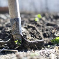 como hacer un huerto en el campo